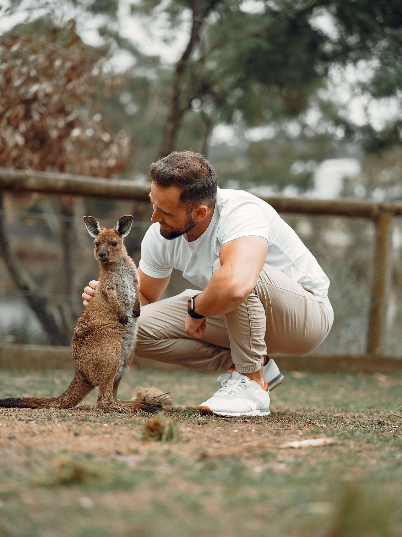 Gap Year w Australii: chłopak z kangurem