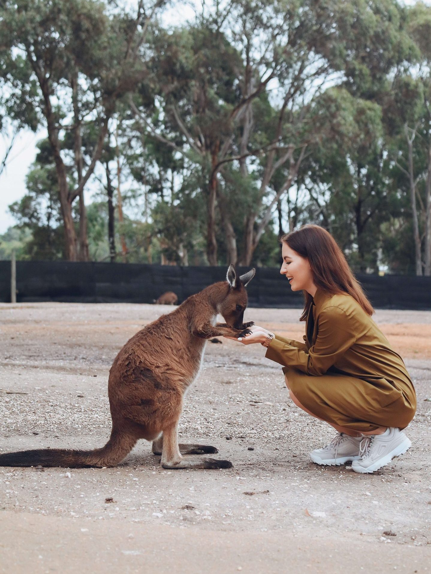 Gap Year w Australii: dziewczyna z kangurem
